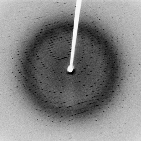 Proteins and X-ray diffraction