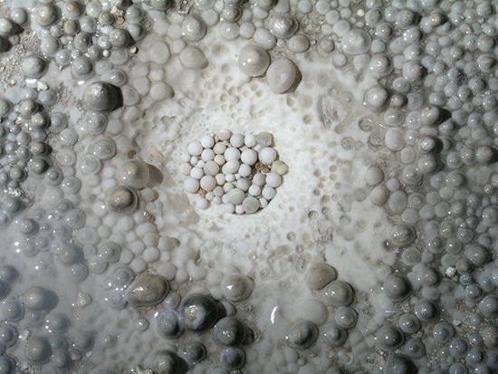 cave pearl
