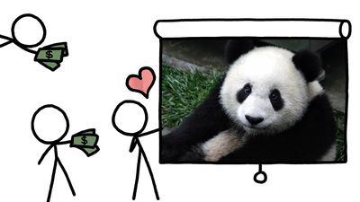 Hear how the physical appearance of certain animals influence in saving endangered species at the expense of rational conservation approach