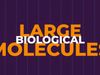 Large biological molecules: Carbs, lipids, proteins, and nucleic acids