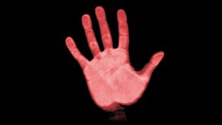 Know about the various advanced biometrics forms of security measures, from ear and nose analysis to palm recognition