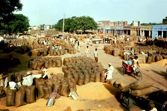 Panipat, Haryana, India