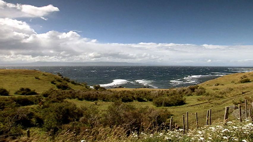 Listen to a farmer talking about raising sheep in Patagonia