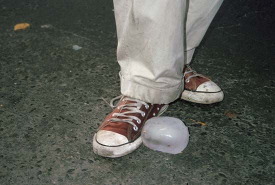 Francis Alÿs: Paradox of Praxis 1