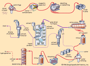 extraction and refinement of edible oil from oilseed