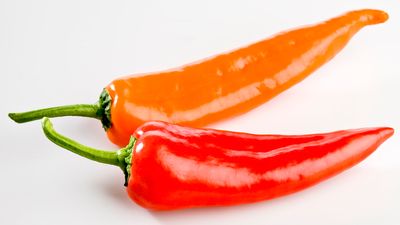How the Scoville scale measures spiciness