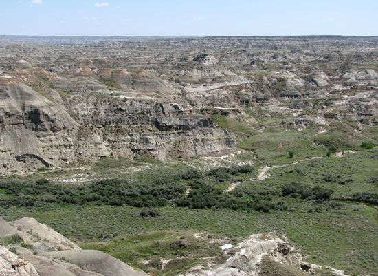 Dinosaur Provincial Park is in the badlands of southeastern Alberta. It is known for its large fossil beds.