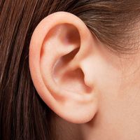 Human ear closeup