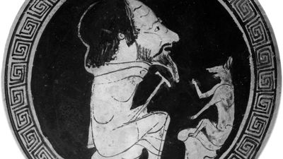 Aesop