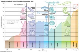 marine family diversity