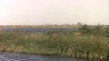 Nile River