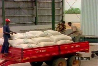 See how Nigerian farmers employ pesticides and fertilizers to increase crop yields and agricultural efficacy
