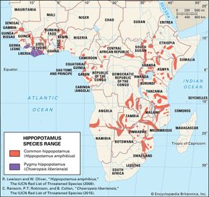 Map of Africa showing where populations of common hippopotamuses and pygmy hippopotamus live.