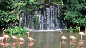 Jurong Bird Park