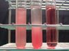 Blood plasma