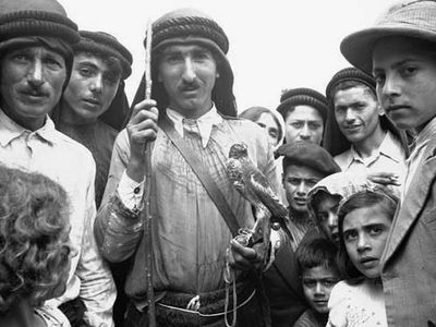 Alawite
