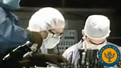 Observe neurosurgeons using electrodes to detect electrical activity in an epileptic patient's brain