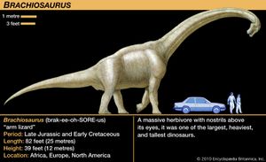 Brachiosaurus
