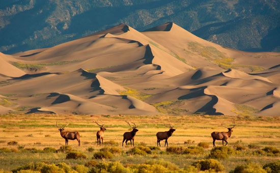 Great Sand Dunes National Park and Preserve
