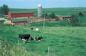 farm
