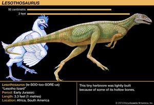 Lesothosaurus