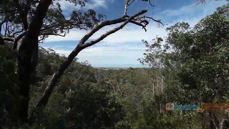 Explore the varied landscapes, a mix of rain forest, reef, and wildlife of Townsville, Australia