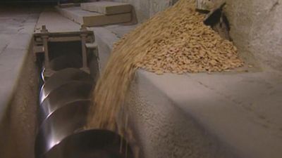 How is high-quality rice grown and sold in Italy?