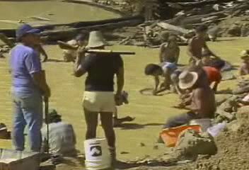 Witness the lives of gold miners in shantytowns along the road network that carves up the Amazon Rainforest