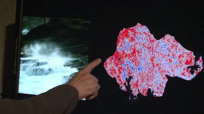 How can scientists decode brain activity?