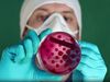 How the Cold War contributed to antibiotic resistance