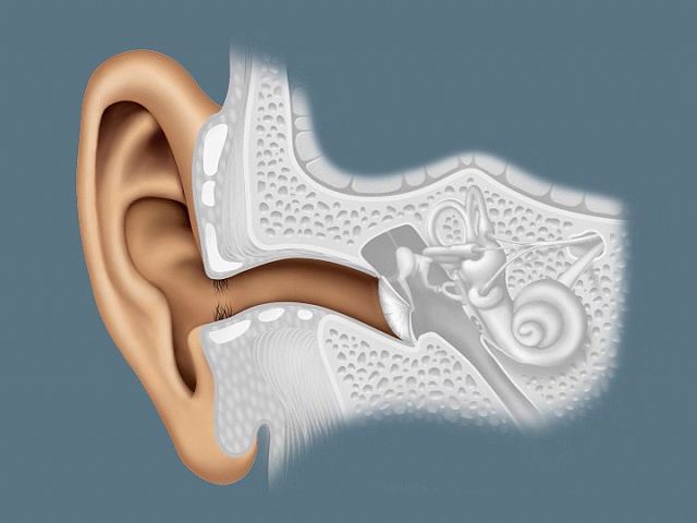 ear