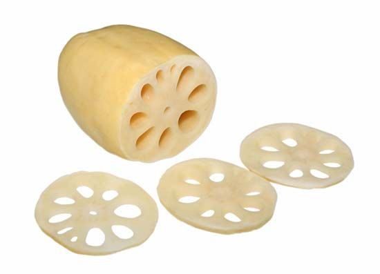 sacred lotus rhizome