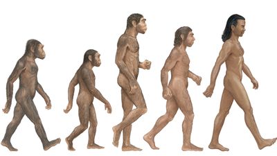 What was the first human species?
