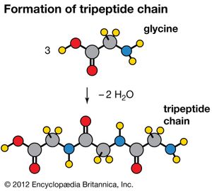 condensation reaction
