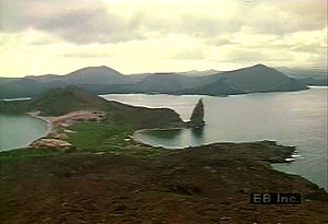 Learn how the Enchanted Isles' volcanic past and isolation enabled plants and animals to uniquely evolve