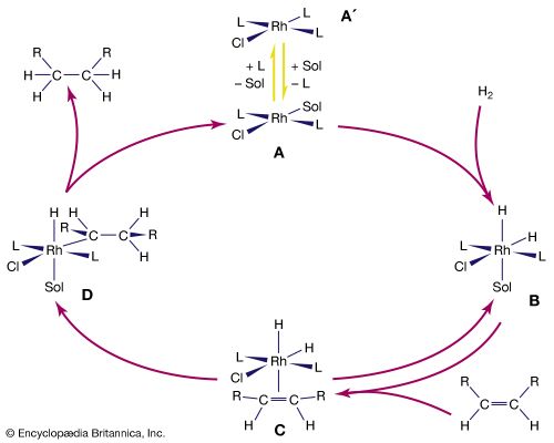 catalytic hydrogenation of alkenes by a rhodium complex