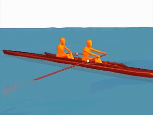 The phases of each stroke in sweep rowing