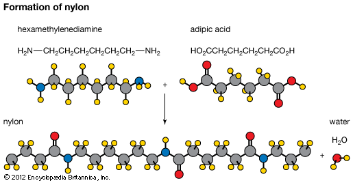 nylon formation